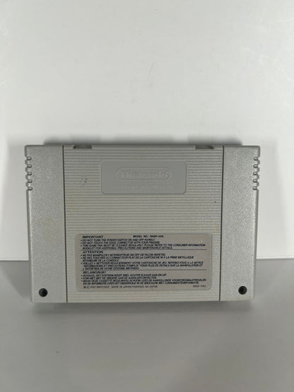 King Arthurs World - SNES